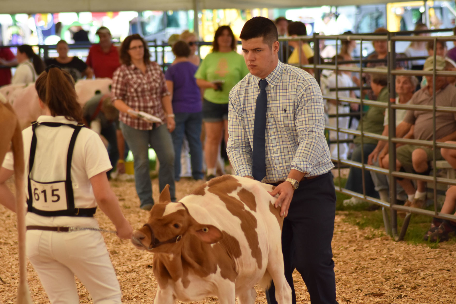 Youth Dairy Competition